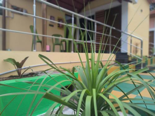 a plant in front of a swimming pool at Kanna Garden by Bodhi Bungalows in Kolli Hills