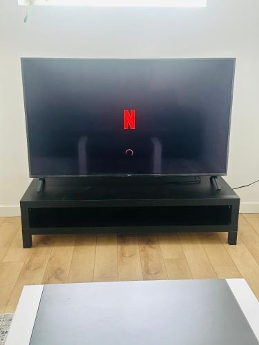 TV a/nebo společenská místnost v ubytování Luxury Basement Suite
