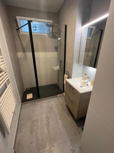 une salle de bain avec douche et lavabo dans l'établissement Paris 17 Champs-Élysées, à Paris