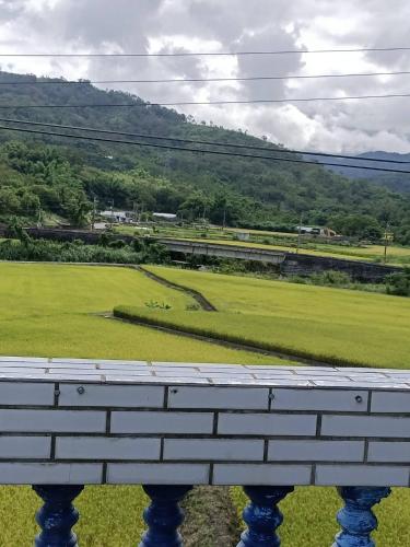 a view of a green field from a window at 十畝田山莊會館 in Chishang