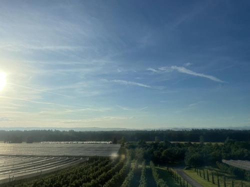 an aerial view of a vineyard with the sun in the sky at Bergchalet Mirabell - Hofgut in Friedrichshafen