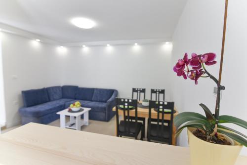 Apartment Orleančić