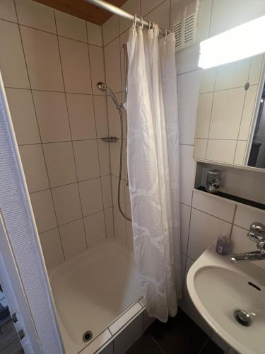 a bathroom with a shower and a sink at Meiringen holiday in Meiringen