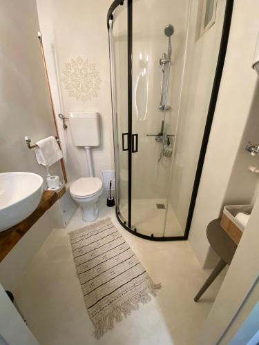a bathroom with a shower and a toilet and a sink at Urban Oasis in Târgu-Mureş
