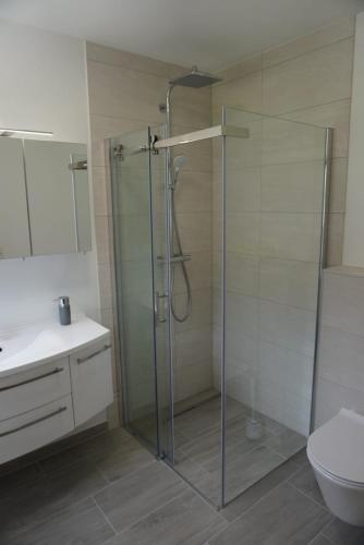 a bathroom with a glass shower and a toilet at Deluxefort für 10 Gäste mit eigenem Whirlpool und Fasssauna in Imst