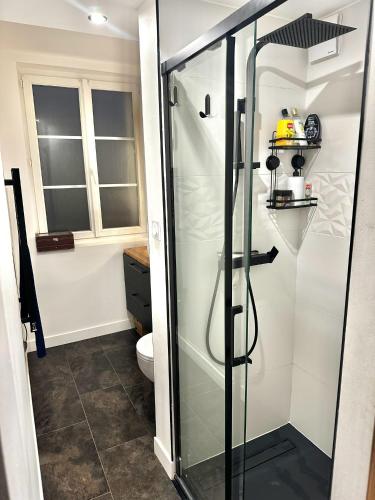 La salle de bains est pourvue d'une douche en verre et de toilettes. dans l'établissement Appartement chaleureux, à Saint-Florent-sur-Cher