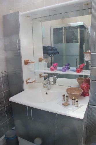 une salle de bain avec un lavabo et un miroir dans l'établissement Le grand jardin de Gaïa et de Rose, à Halinghen