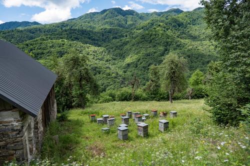 Gallery image of Rusikos guest house in Oni