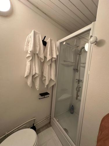 La salle de bains est pourvue de toilettes, d'une douche et de serviettes. dans l'établissement Charmant studio Carmes 5 - CDDT, à La Rochelle