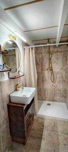 une salle de bain avec un lavabo et une douche dans l'établissement Studio avec jardin, à Six-Fours-les-Plages