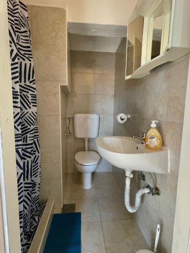 a small bathroom with a toilet and a sink at Dejan apartment4-Top centar in Pula