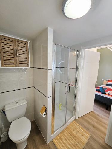 une salle de bain avec toilettes et douche dans l'établissement Tout confort ! Ville, Climatisation, Parking, Wifi, Calme, TV, à Carcassonne