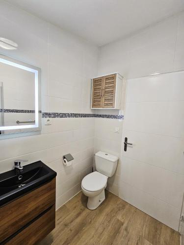 une salle de bain avec toilettes et lavabo dans l'établissement Tout confort ! Centre-ville, Climatisation, Parking, Wifi, Calme, TV, à Carcassonne