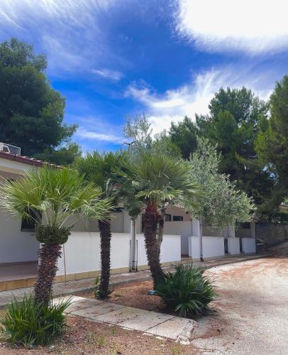 Κήπος έξω από το Villaggio La Giara