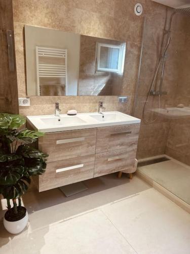 une salle de bain avec un lavabo, une douche et un miroir dans l'établissement Maison familiale avec véranda, à Vallauris