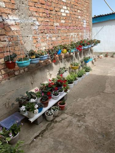 Un jardín fuera de AinaGul