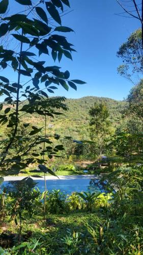 a pond in the middle of a field with trees at Relais De Mantadia in Andasibe