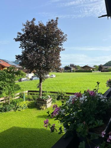 En have udenfor Achentalglück
