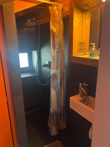 a shower curtain in a bathroom with a sink at La Chujale in Arbaz