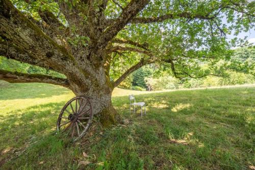 a tree with an old wheel sitting under it at Pétillant Chalet aux 3 étangs avec SPA, Sauna et Véranda in Gerbépal