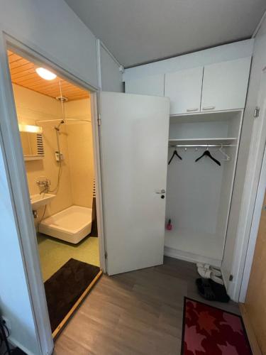 a bathroom with a toilet and a sink and a closet at Scandinavian Dream Guesthouse and Apartments in Rovaniemi
