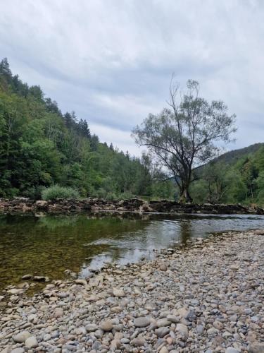 a river with rocks and a tree in the background at apartman Luisiana in Lukovdol