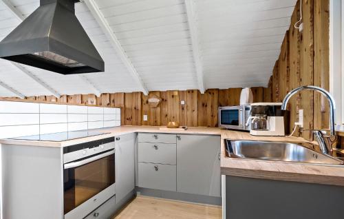 a kitchen with a sink and a microwave at Amazing Home In Hejls With Wifi in Hejls