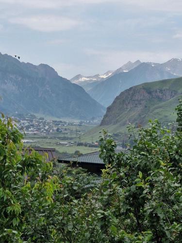 Un paisaje natural cerca de la casa de huéspedes