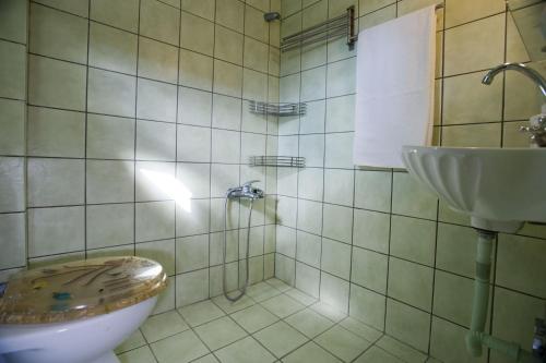 a bathroom with a toilet and a sink at Benos Tower in Tsikkaliá