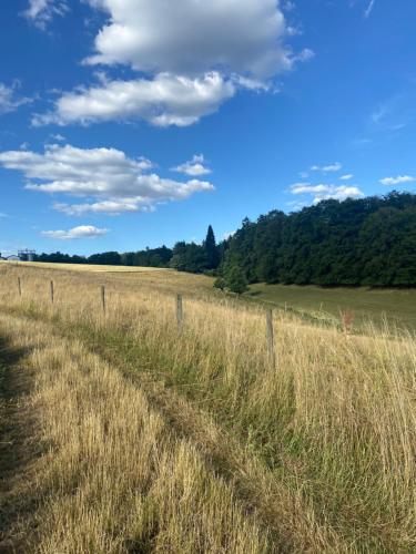 a field of grass with trees in the background at Landhof PAU in Mappershain
