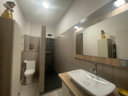 une salle de bain avec un lavabo, des toilettes et un miroir dans l'établissement Logement Quartier Historique Calme et Parking, à Tours