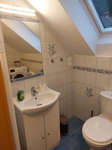 a bathroom with a sink and a toilet at Ferienwohnung Bohinj in Bohinjska Bistrica