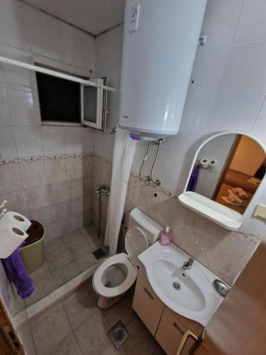 a small bathroom with a toilet and a sink at Kostic Apartments in Buljarica