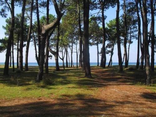 Φυσικό τοπίο κοντά σε αυτή η βίλα