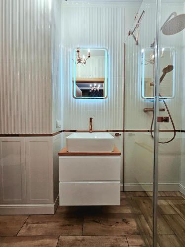 a bathroom with a sink and a shower at ROOSEVELTA RESIDENCE Apartments - przy OFF Piotrkowska in Łódź