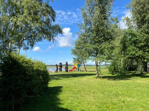 people playing in a park with a playground at Tõhela Järve Puhkeküla in Männikuste