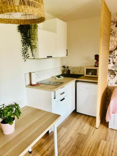 une petite cuisine avec des placards blancs et une plante dans l'établissement Studio cabine avec terrasse, à Cavalaire-sur-Mer
