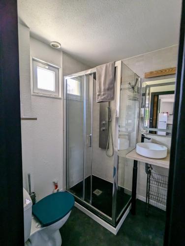 une salle de bain avec une douche, des toilettes et un lavabo dans l'établissement Le Cabanon T1 à Quissac, résidence avec piscine, à Quissac