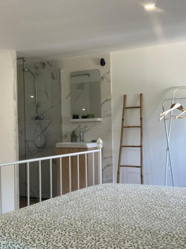 une salle de bain avec une douche, un lavabo et un miroir dans l'établissement Jolie maison au cœur du maquis, à Grosseto-Prugna