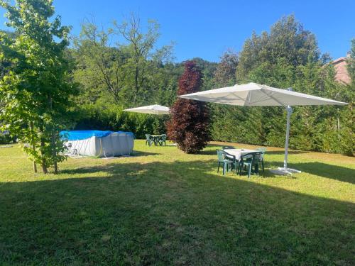 Jardin de l'établissement Villa Lilla 2