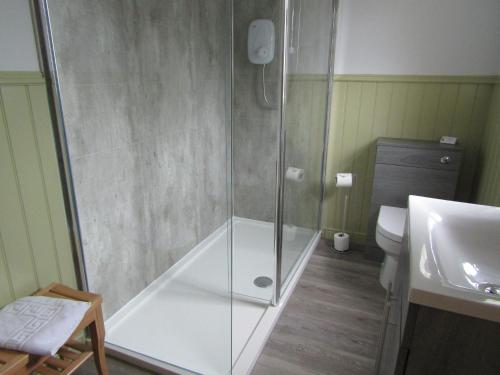a bathroom with a shower and a toilet and a sink at Balcary House Hotel in Hawick