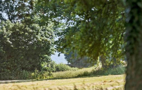 a field of grass with trees and a road at Awesome Home In Nordborg With Wifi in Nordborg