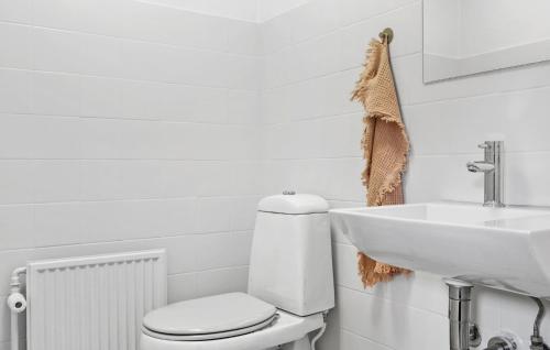 a white bathroom with a toilet and a sink at Awesome Home In Nordborg With Wifi in Nordborg