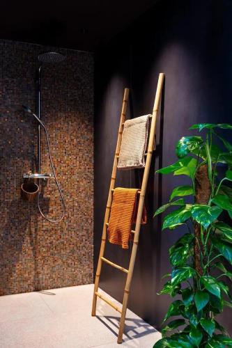 une échelle en bois appuyée contre un mur à côté d'une douche dans l'établissement Villa La Marine-Jacuzzi-SPA-400m de la mer, à Loctudy