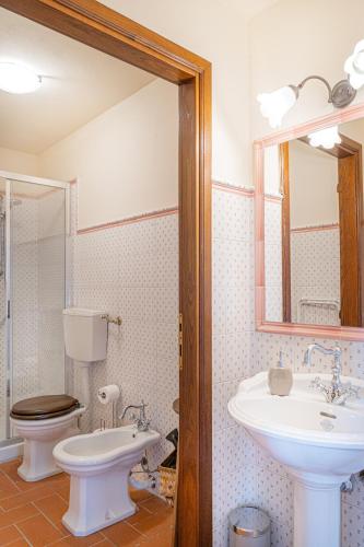 a bathroom with a sink and a toilet and a mirror at La Capanna di Montauto in San Gimignano
