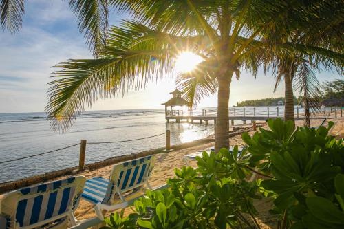 two beach chairs under a palm tree on the beach at Catalonia Montego Bay - All Inclusive in Montego Bay