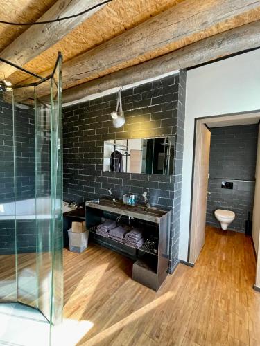 une salle de bain avec une douche en verre et un lavabo dans l'établissement Domaine de la Planche de Melussac, à Cussac-sur-Loire