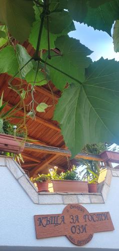 a sign in front of a building with a large leaf at Къща за гости Ози in Ovchartsi