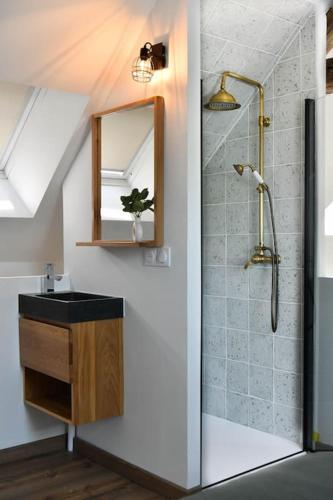 une salle de bain avec une douche, un lavabo et un miroir dans l'établissement Jacuzzi idyllique à 1h de Paris, à Greneville-en-Beauce