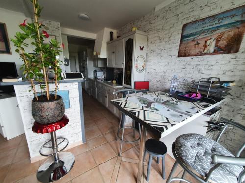 une cuisine avec une table et une plante en pot dans l'établissement Chambre confort dans T3 Joué-lès-Tours, à Joué-lès-Tours